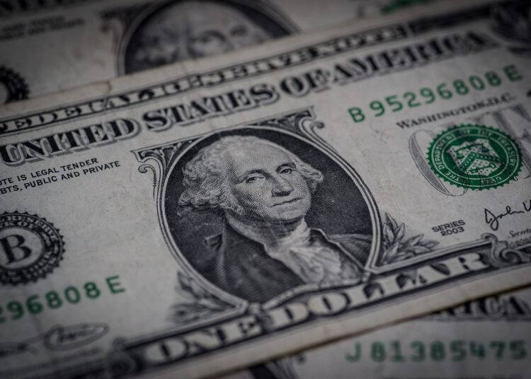 Billetes Dólares | Gestión Financiera